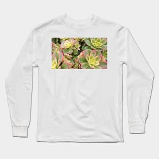 Aeonium Kiwi Plants Long Sleeve T-Shirt